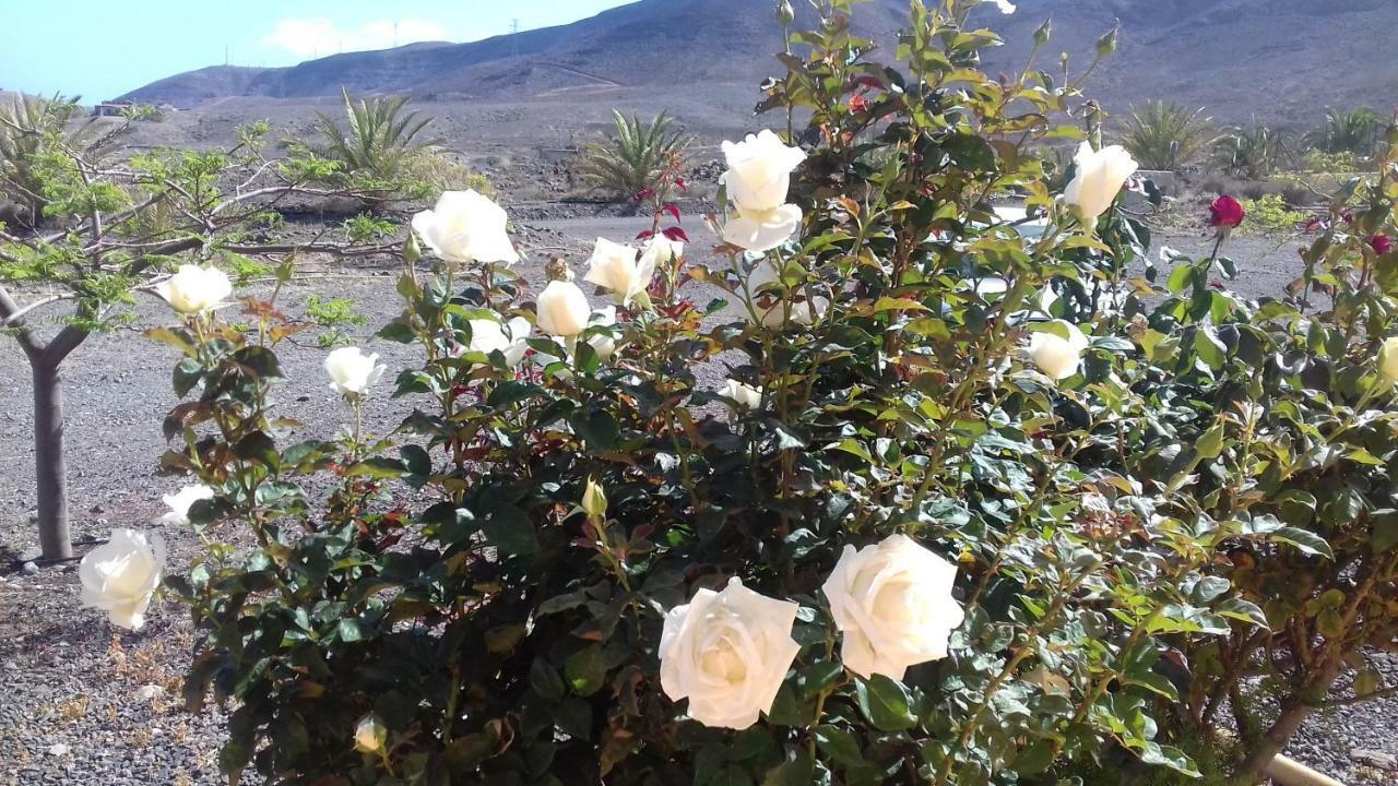 Finca Los Rosales La Lajita Bagian luar foto