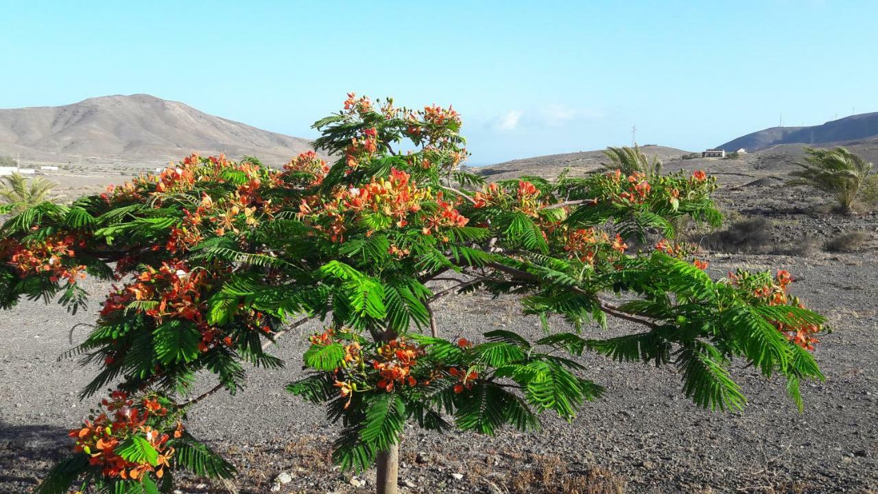 Finca Los Rosales La Lajita Bagian luar foto